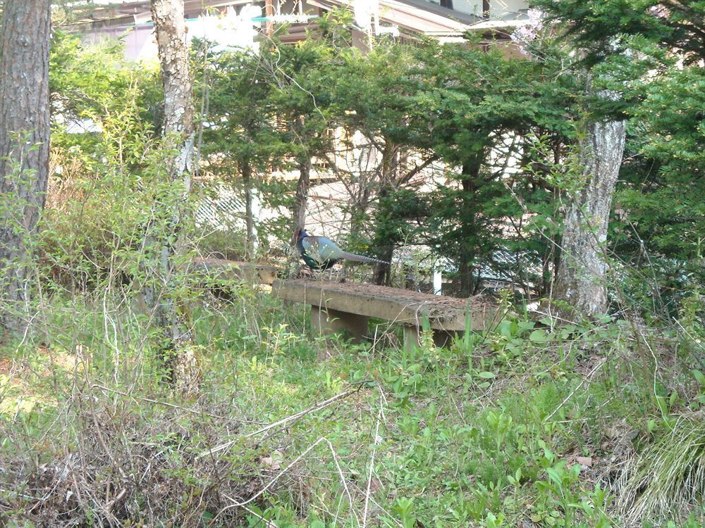 Hida Gasshoen Takayama  Buitenkant foto